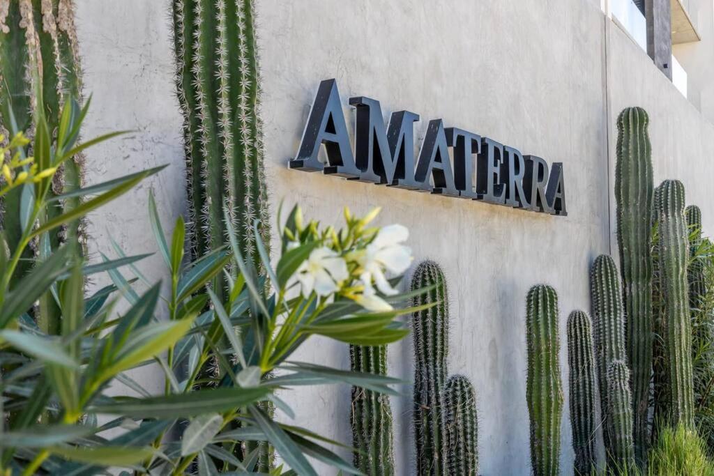 Endless Summer - 2Bed 2Bath Condo - Seasonly Heated Pool With Ocean Views - 5Min Walk To Beach - Fibre Internet - Sleeps 6 Cabo San Lucas Kültér fotó